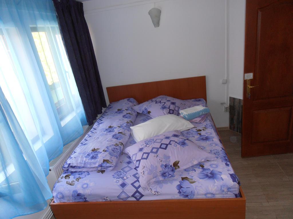 Pensiunea Sans Rival Iasi Habitación foto